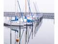 Boote im Hafen