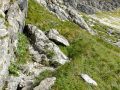 Auf dem Weg zum Gaisalpsee